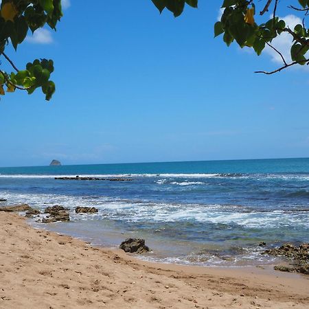 Holidays Guadeloupe Plessis-Nogent Екстериор снимка